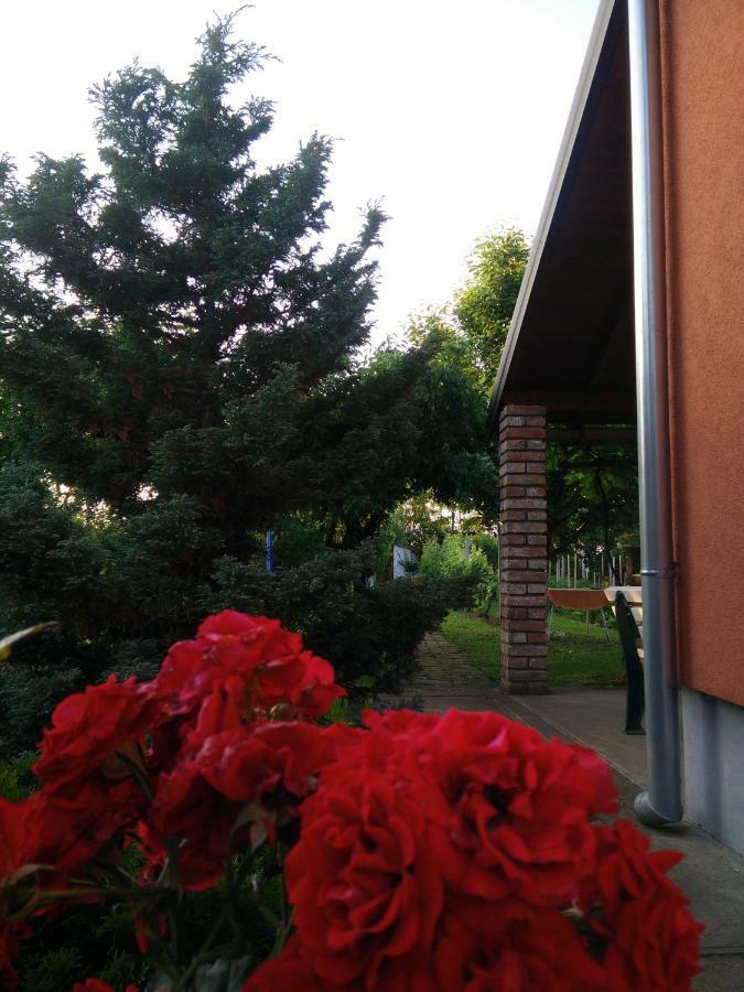 Kuca Za Odmor Mirni Kutak Vukovar Exterior foto