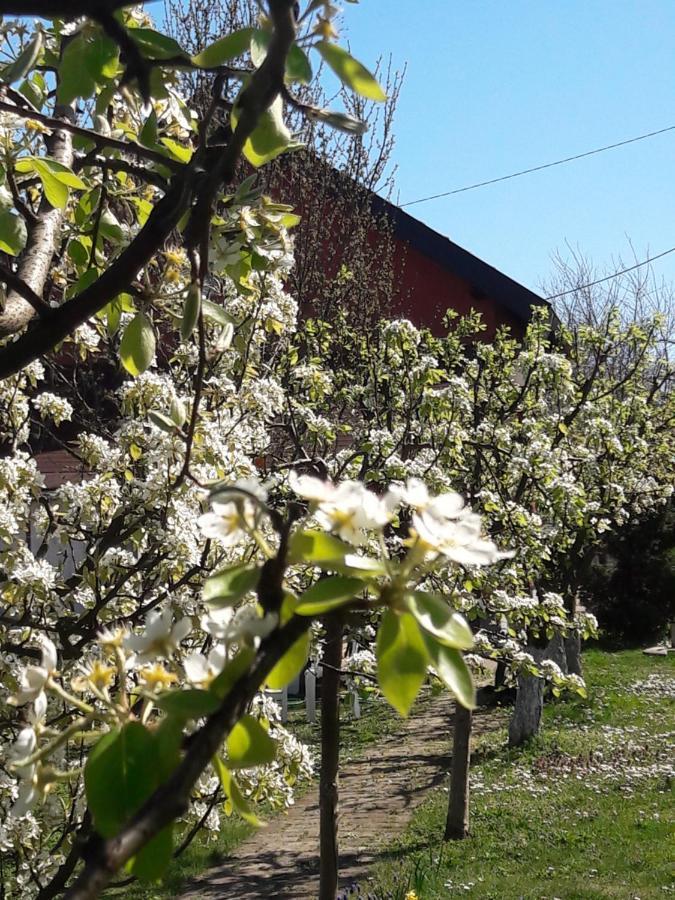 Kuca Za Odmor Mirni Kutak Vukovar Exterior foto